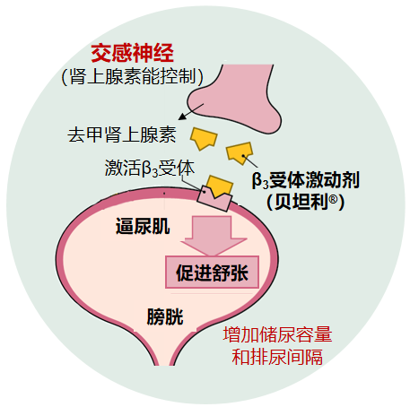 1712128997219459.png 微信图片_20240403152306.png