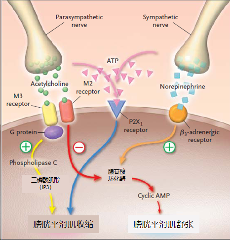 1712130034210168.png 微信图片_20240403154023.png