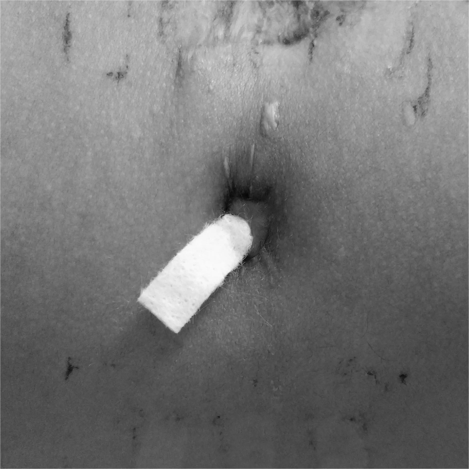 1714273957916744.jpg 微信图片_20240428111221.jpg