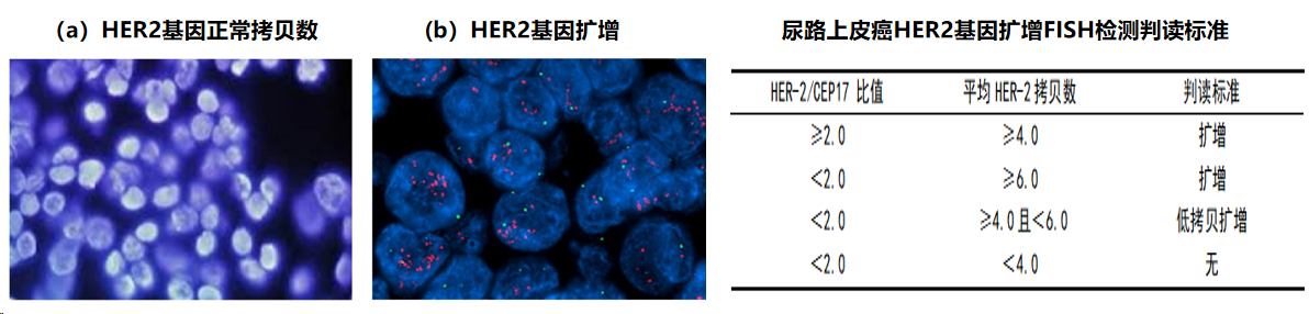1714457549263179.png 微信图片_20240430141217.png