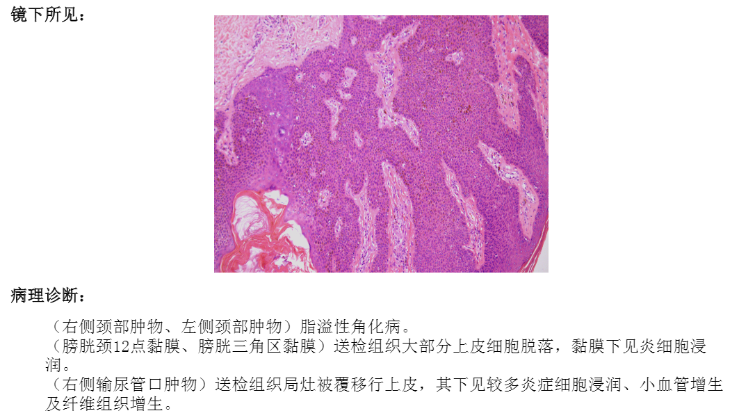 微信图片_20240527112944.png