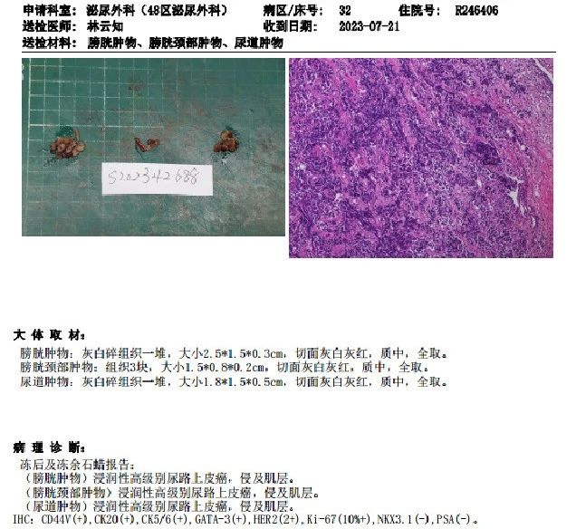 1718936331372590.jpg 微信图片_20240621101821.jpg