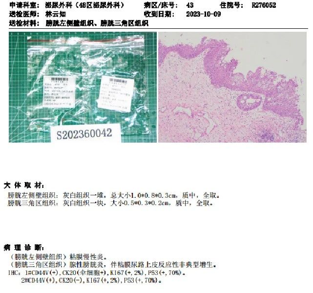 1718936527856748.jpg 微信图片_20240621102123.jpg