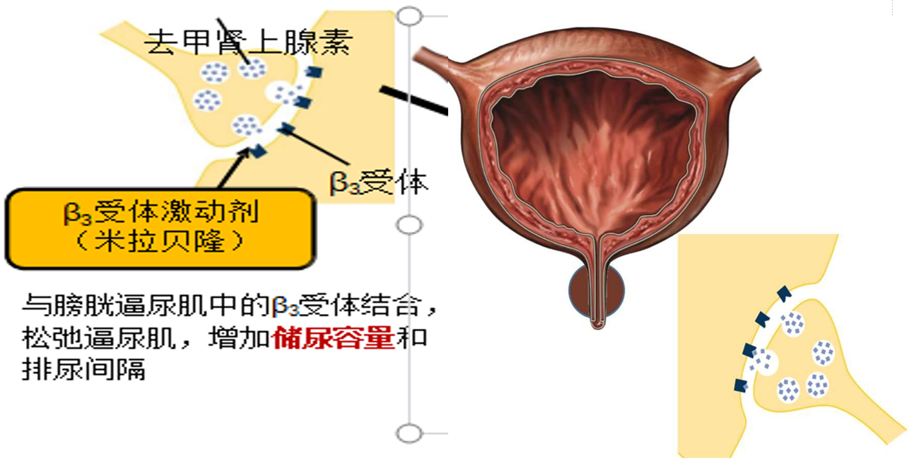 1720511072588803.png 微信图片_20240709154415.png