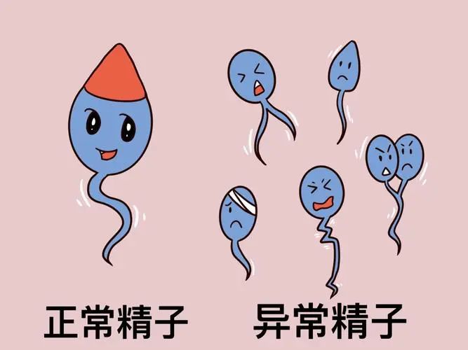 1720511211597283.jpg 微信图片_20240709154633.jpg