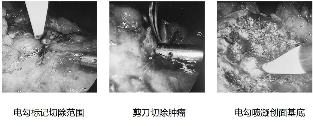 1720769082942050.jpg 微信图片_20240712152429.jpg