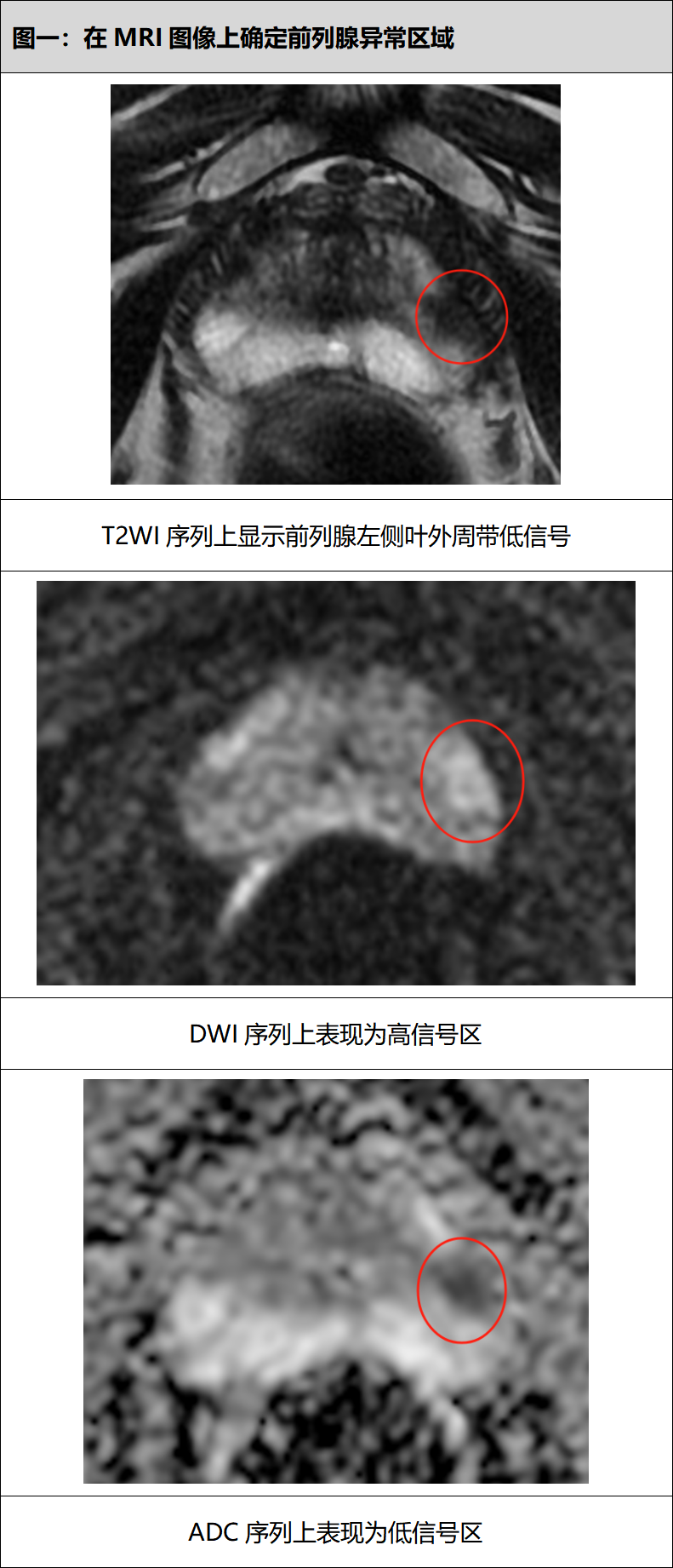 1721805344507736.png 微信图片_20240724151531.png