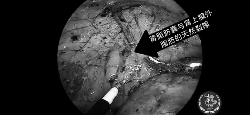 1721805963514657.png 微信图片_20240724152552.png