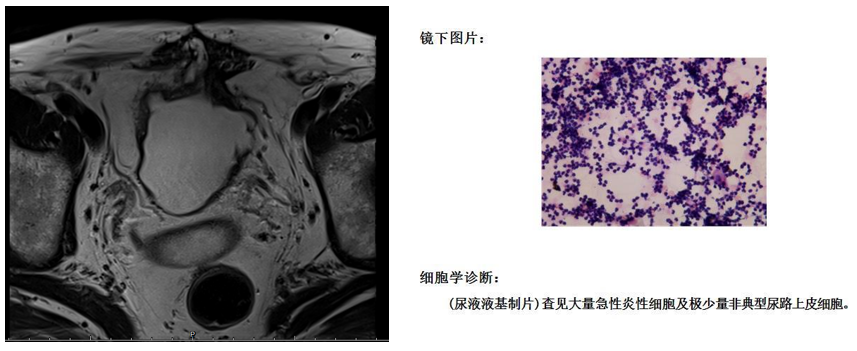 1722585301322082.png 微信图片_20240802155441.png