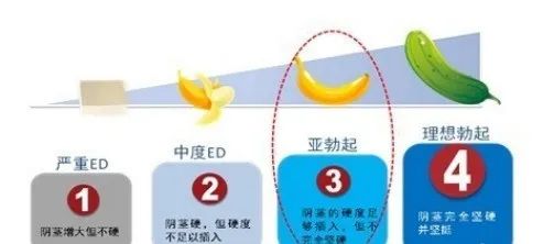 1723175287166324.jpg 微信图片_20240809114747.jpg