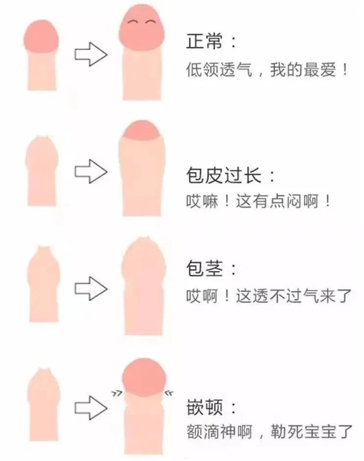 1723188748753998.jpg 微信图片_20240809153216.jpg