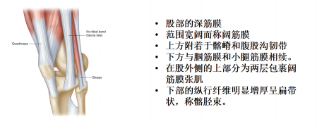 1723442256361166.png 5b0bd6089b91031b26b74d5b82eafe3(1).png