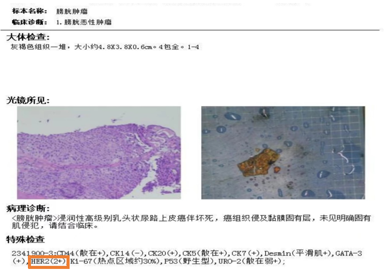 1723704675579386.png 微信图片_20240815145104.png