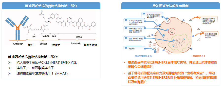 1723704954301355.png 微信图片_20240815145540.png