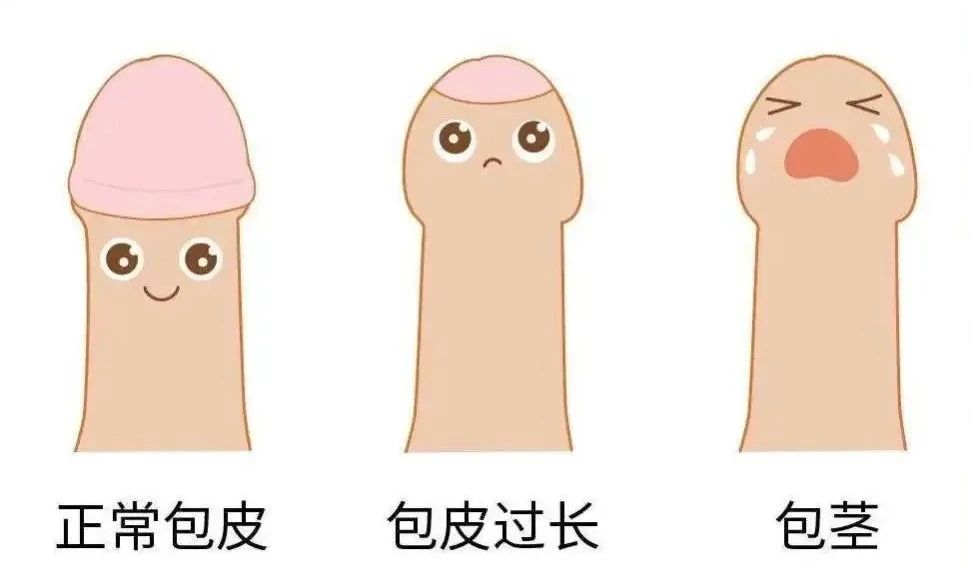 1724307994689898.jpg 微信图片_20240822142626.jpg