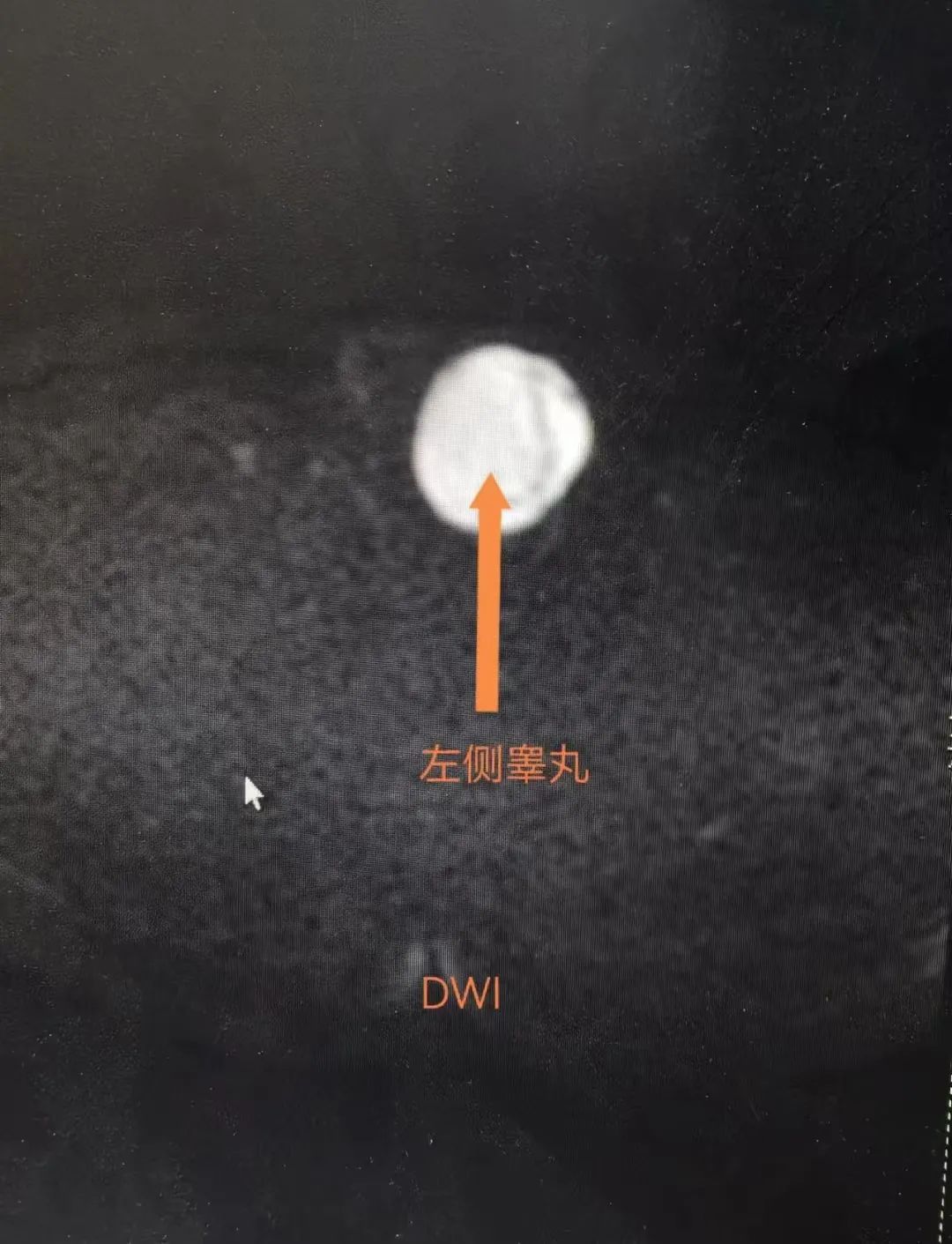 1724308134647302.jpg 微信图片_20240822142835.jpg