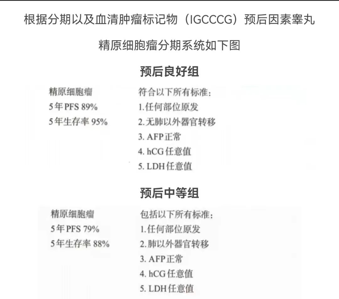 1724308314644207.jpg 微信图片_20240822143117.jpg