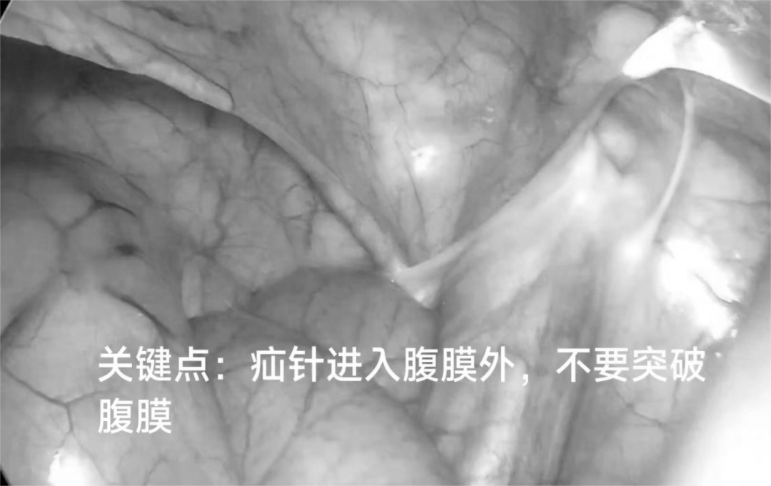 1724399659206773.png 微信图片_20240823155343.png