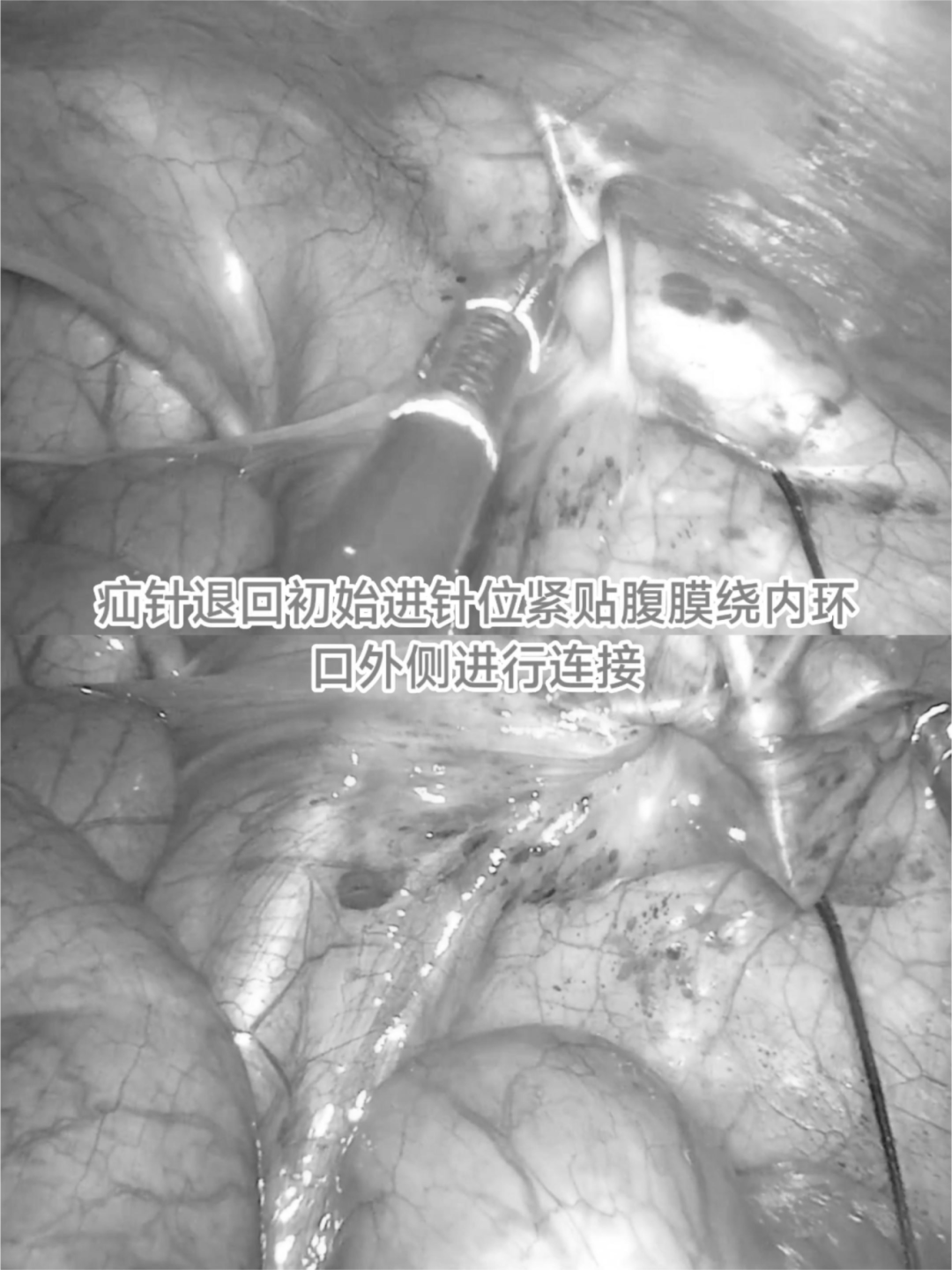 1724399756902073.png 微信图片_20240823155533.png