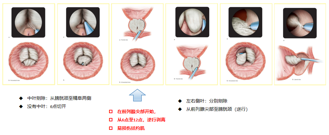 1724744460901601.png 微信图片_20240827154045.png