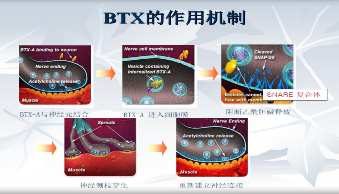 1726641035491964.png 微信图片_20240918143024.png