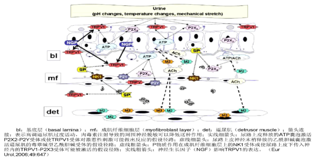 1726641084427112.png 微信图片_20240918143040.png