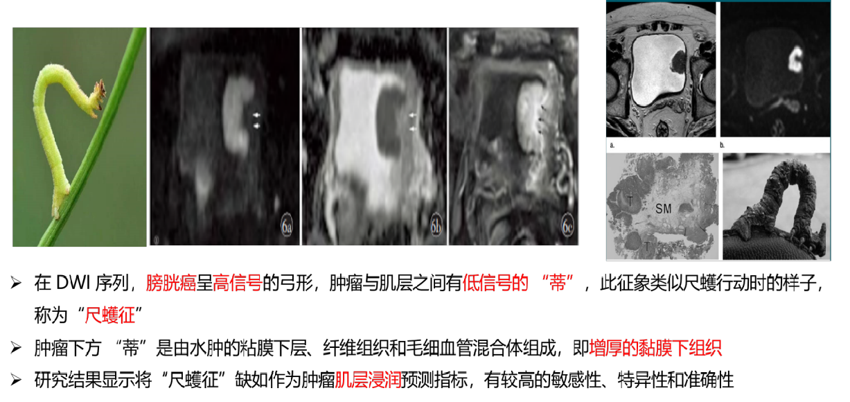 1726642918299854.png 微信图片_20240918150149.png