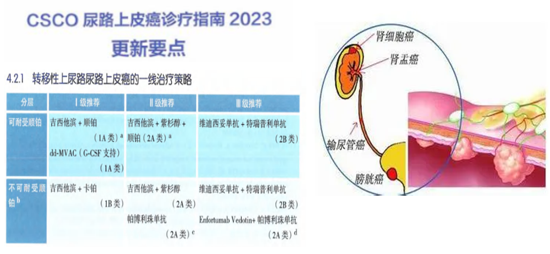 1726643011246131.png 微信图片_20240918150316.png