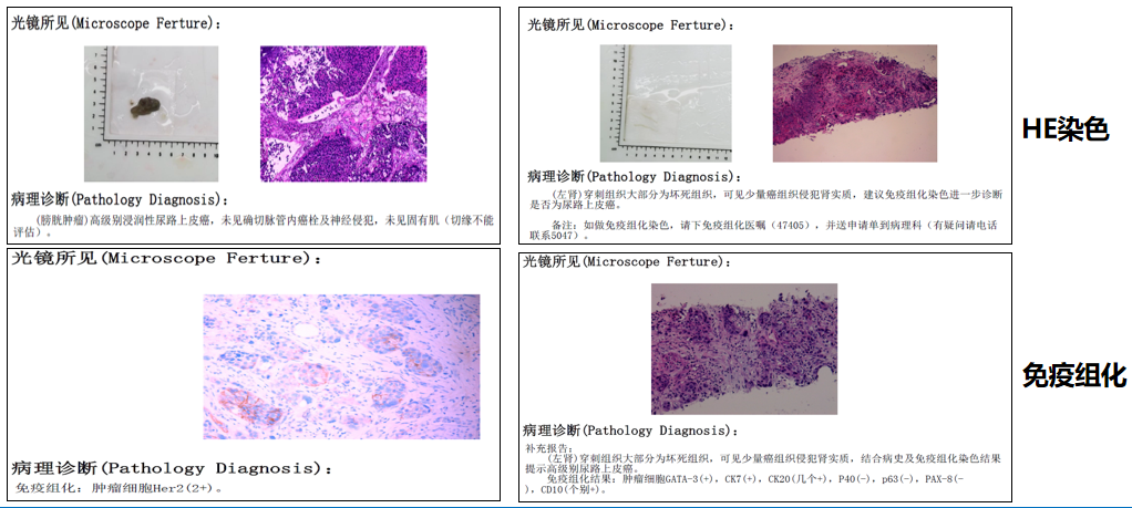 1726643043914025.png 微信图片_20240918150350.png