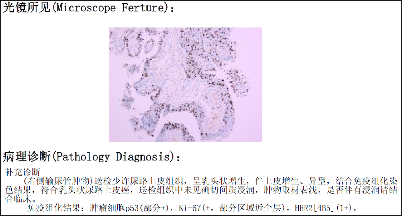 1726643203671480.png 微信图片_20240918150630.png