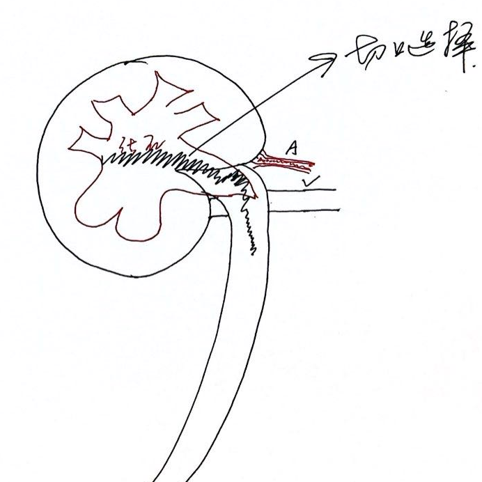 1729755452557852.png 微信图片_20241024153723.png