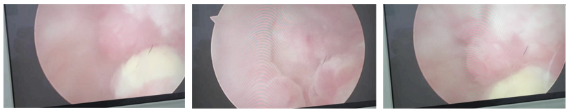 1729757525705144.png 微信图片_20241024161150.png