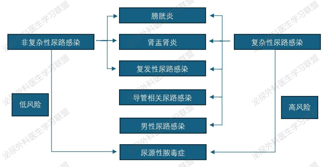 微信图片_20241118142029.png