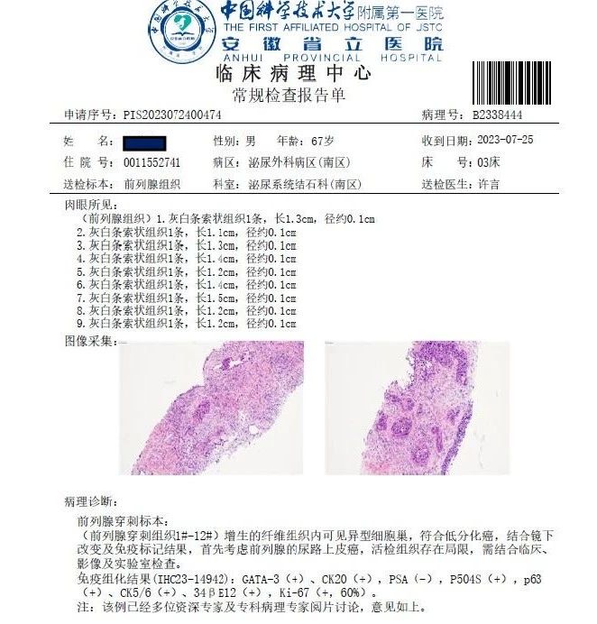 1731911065995695.jpg 微信图片_20241118142408.jpg