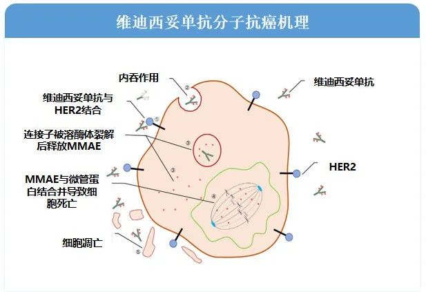 1734489307690542.jpg 微信图片_20241218103457.jpg