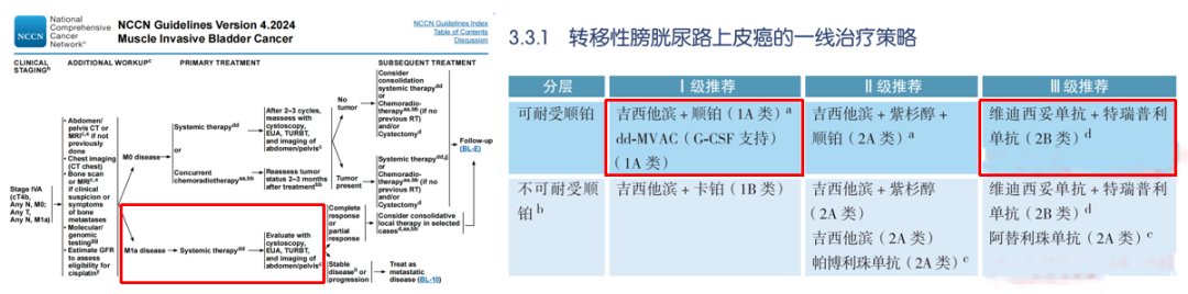 微信图片_20241219094613.png