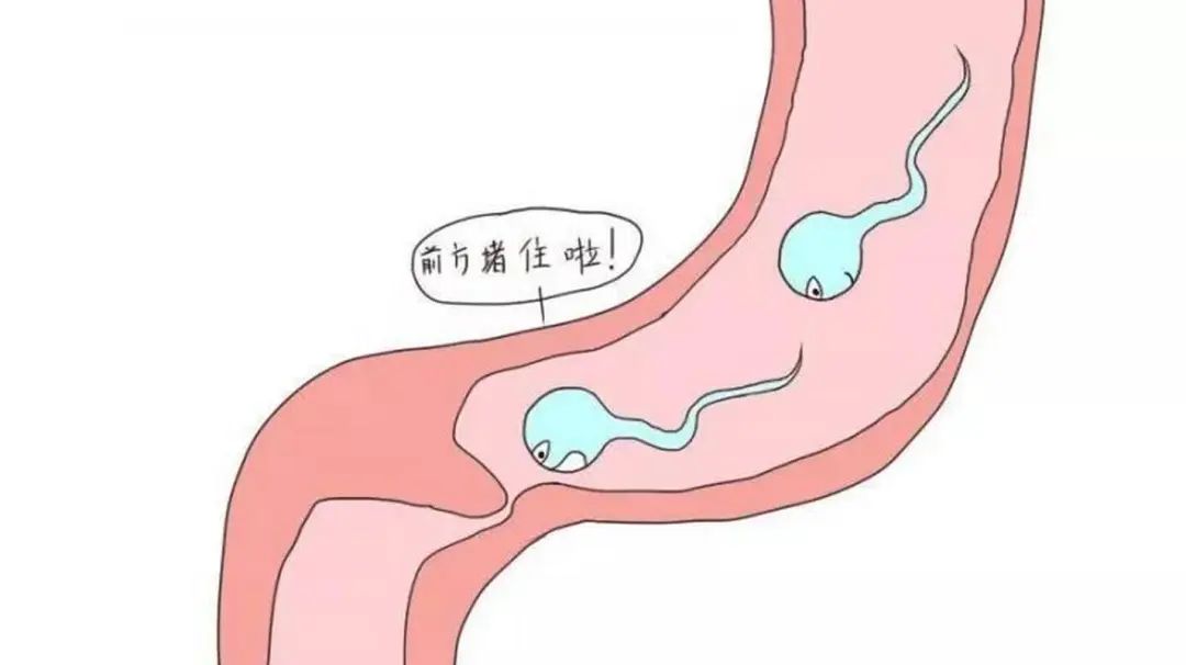 微信图片_20241224152725.jpg