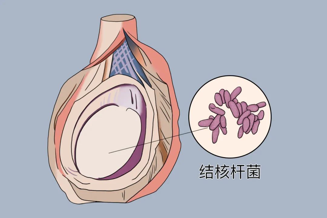 微信图片_20241224152741.jpg