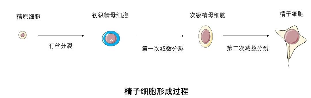 1736299304212536.jpg 微信图片_20250108092134.jpg
