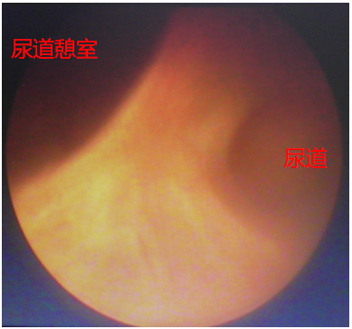 1736307650837590.png 微信图片_20250108114033.png