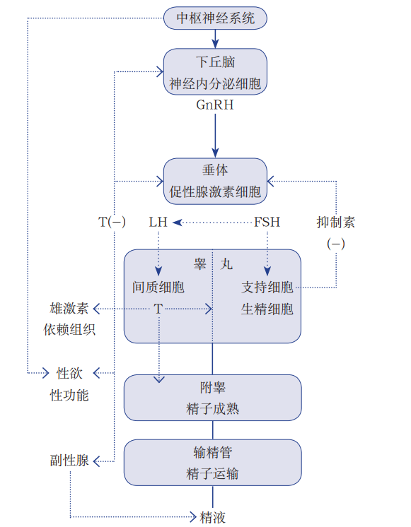 微信图片_20250109105121.png