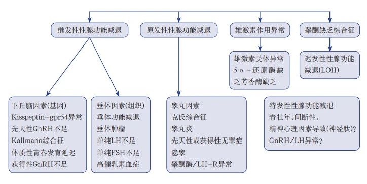 微信图片_20250109105138.jpg