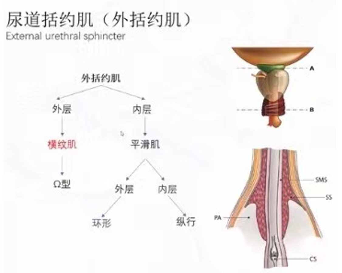 1736392480878309.png 微信图片_20250109111432.png