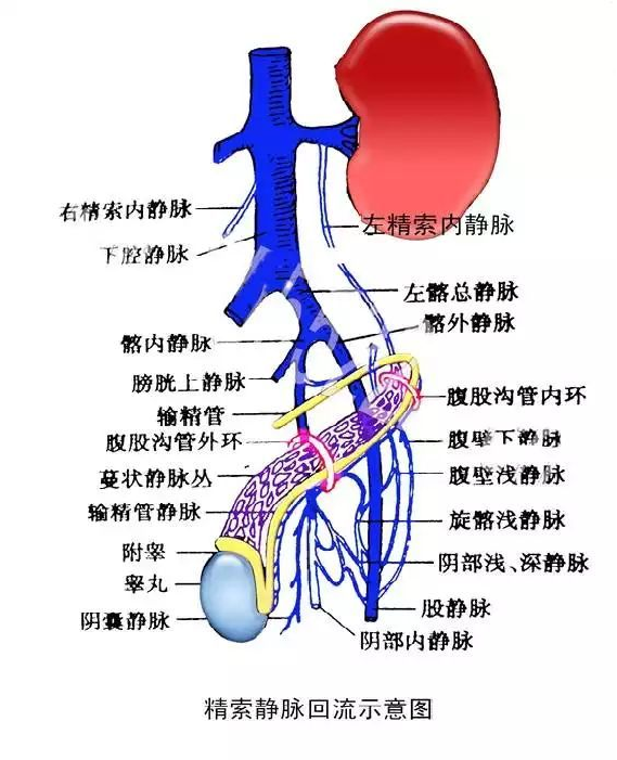 1736402637152499.png 微信图片_20250109140343.png