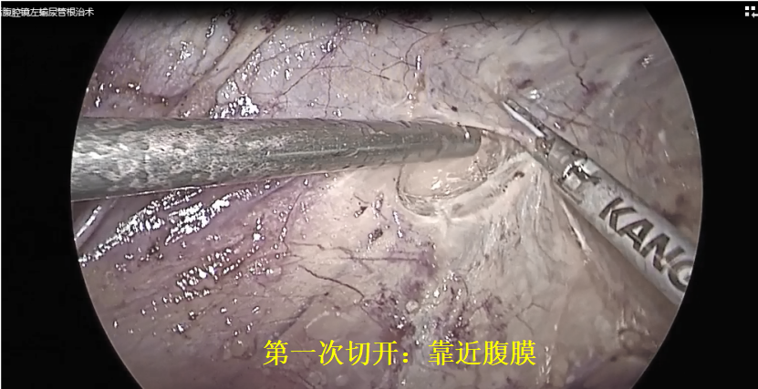 微信图片_20250109143704.png