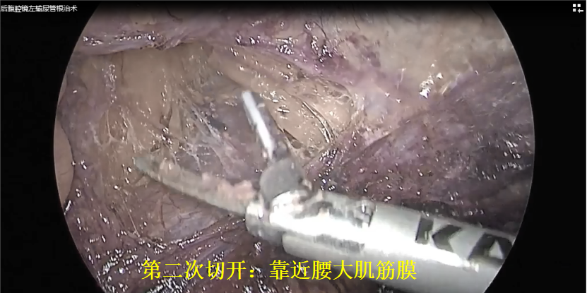 微信图片_20250109143710.png