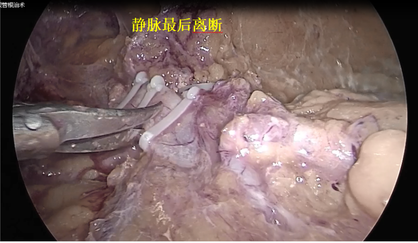 微信图片_20250109143808.png