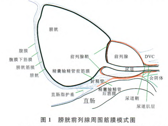 1736405176176308.png 微信图片_20250109144542.png