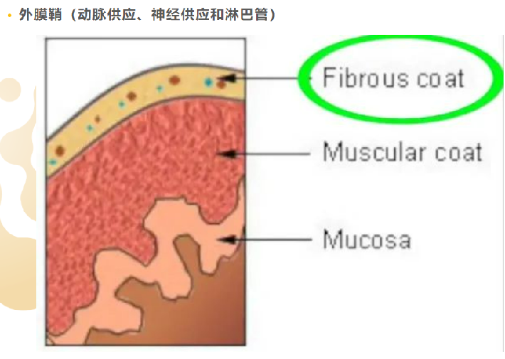 1736405290874130.png 微信图片_20250109144753.png