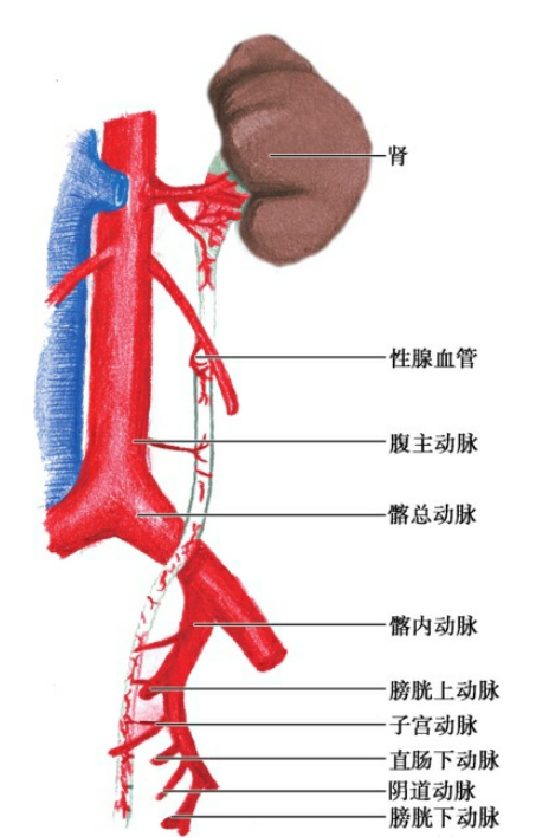 1736405296137647.png 微信图片_20250109144755.png